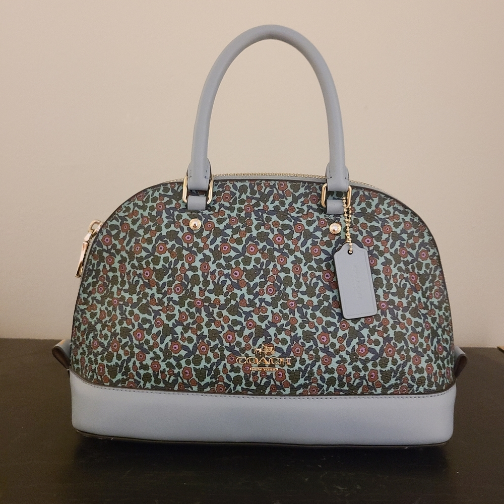 Coach Mini Dome Crossbody Satchel